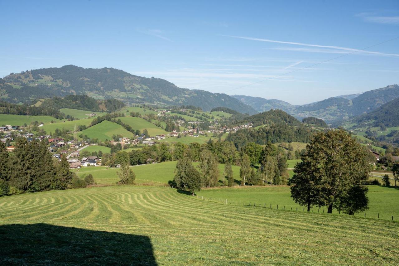 Knollgut Ferienwohnung Buchberg Goldegg Buitenkant foto